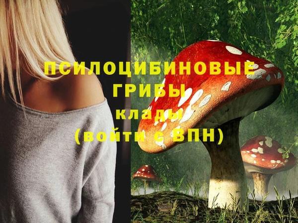 дмт Абаза