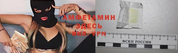 дмт Абаза