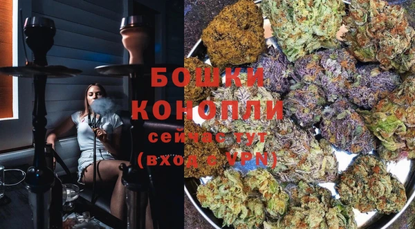 каннабис Алексеевка