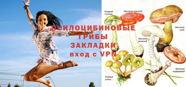 прущие крисы Абинск
